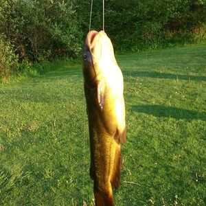 Meet your Posher, Simeon